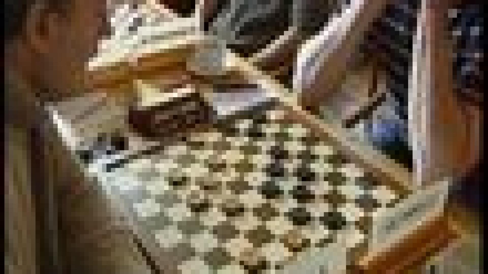 Burdinne : championnat de Belgique de jeu de dames